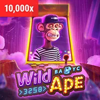 Giấy phép và bảo mật của dr88 bet