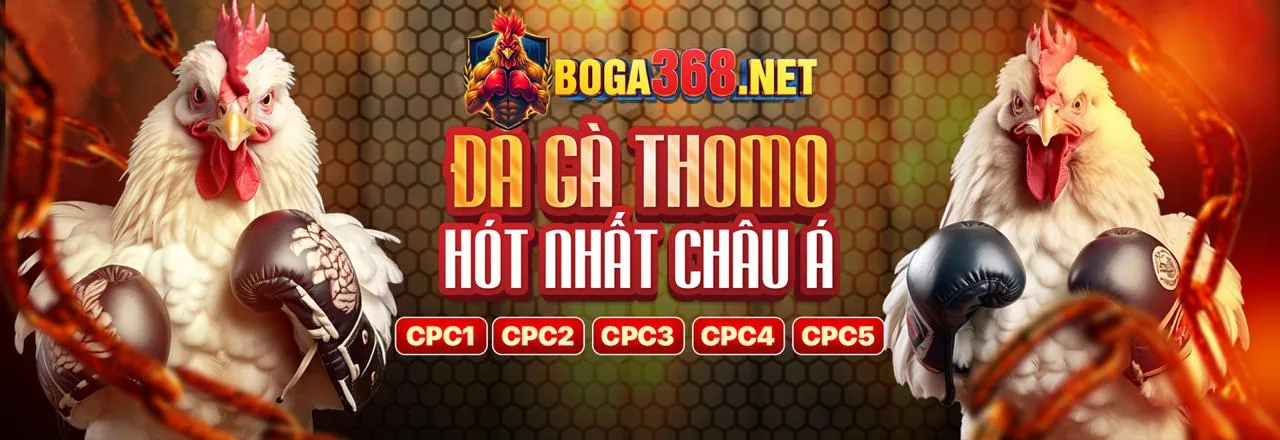Giao dịch an toàn tại dr88 bet