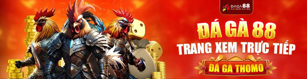 Các loại kèo cược đá gà dr88 bet