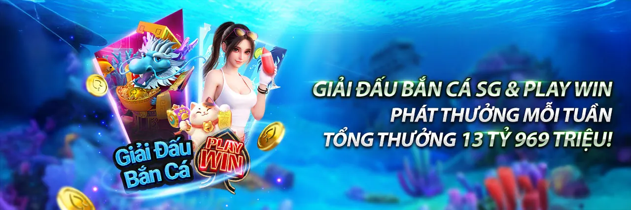 Chương Trình VIP dr88 bet